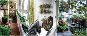 Style Your Balcony with Plants